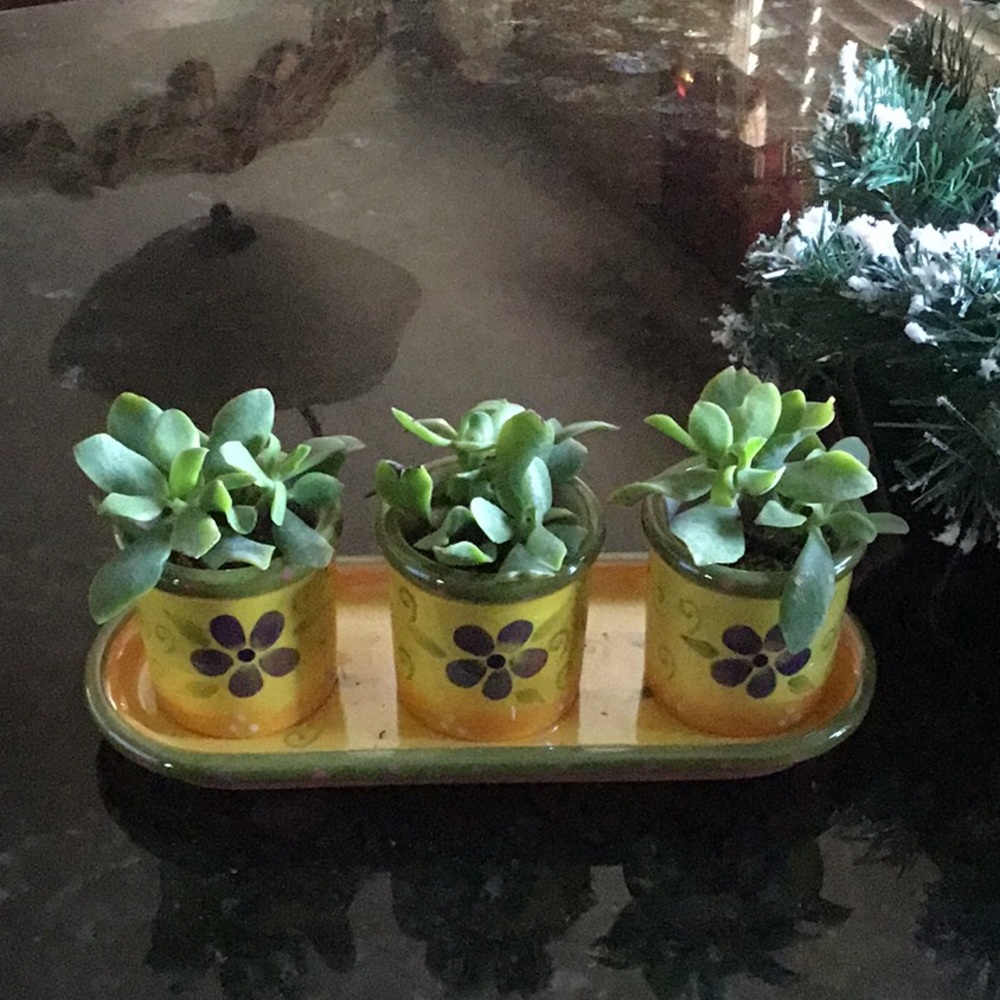 Ceramic tray with vases/votive holder